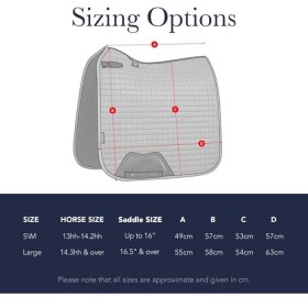 51GeEmBU3jL._AC_SL1000_