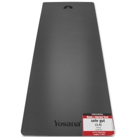 61EQ5io+QZL._AC_SL1500_