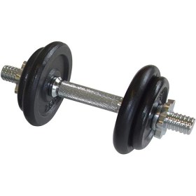 ds10kg-1